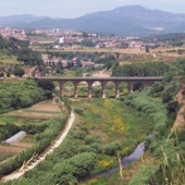 Patrimoni cultural del riu Ripoll